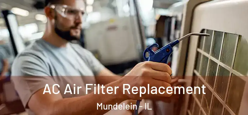  AC Air Filter Replacement Mundelein - IL