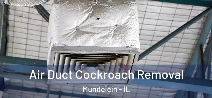 Air Duct Cockroach Removal Mundelein - IL