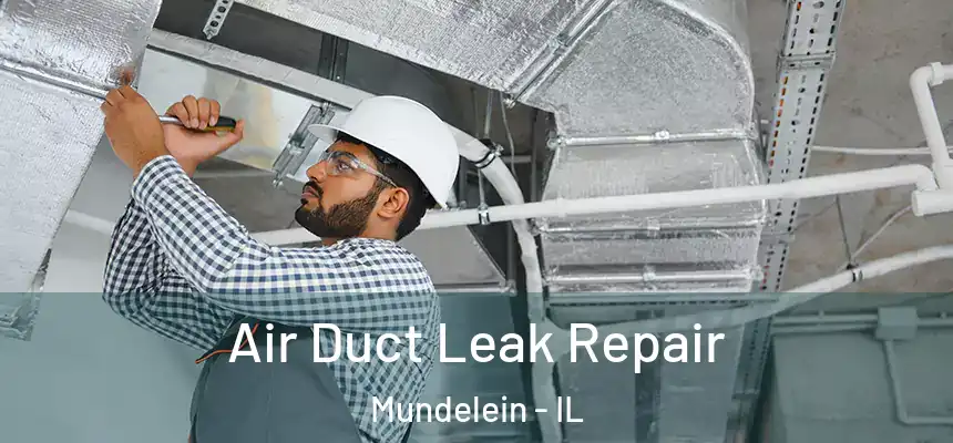  Air Duct Leak Repair Mundelein - IL