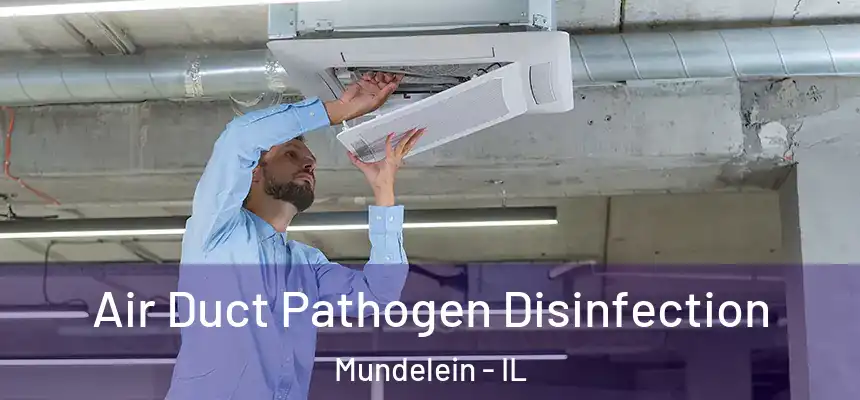 Air Duct Pathogen Disinfection Mundelein - IL