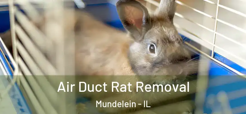 Air Duct Rat Removal Mundelein - IL