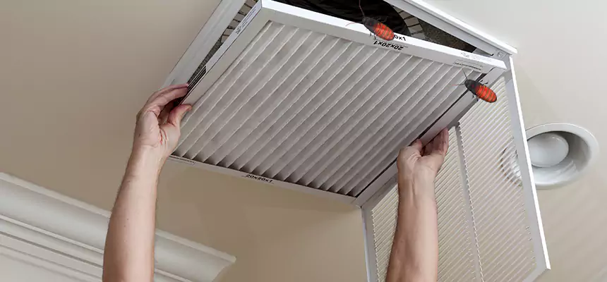 Preventive Cockroach-Proofing for Ducts in Mundelein