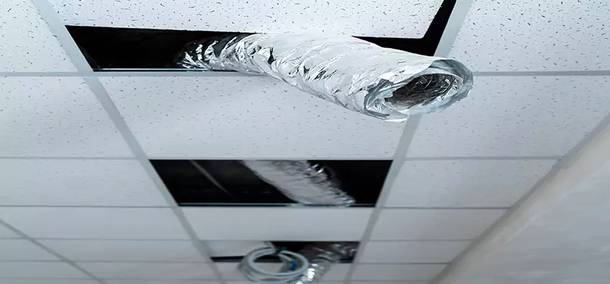 Affordable HVAC Sanitizing After Pest Removal in Mundelein