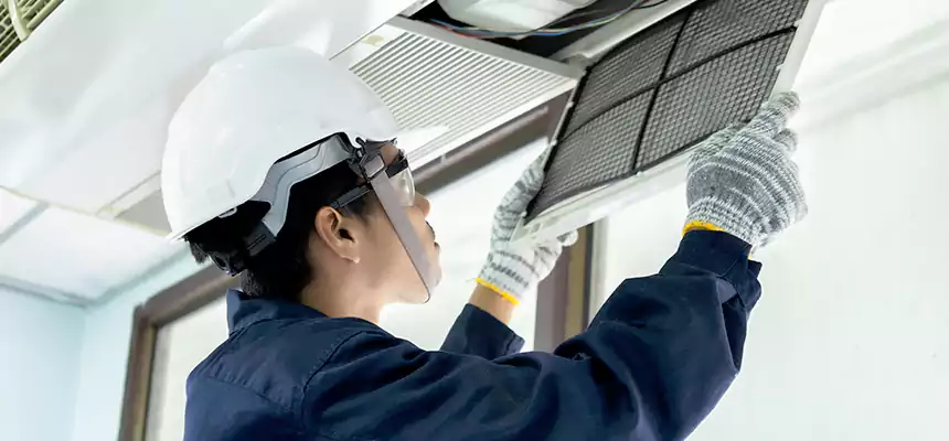 Our Mold & Mildew Removal from Air Ducts Services in Mundelein, IL