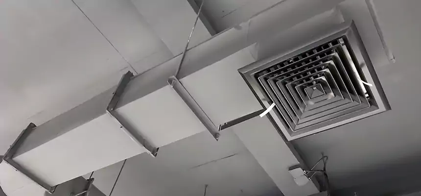 Our Pest Removal From Ducts Services in Mundelein, IL