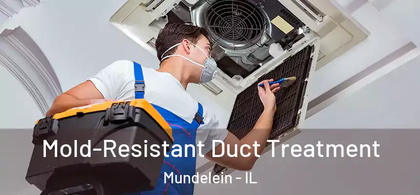 Mold-Resistant Duct Treatment Mundelein - IL