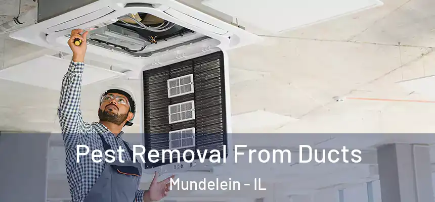 Pest Removal From Ducts Mundelein - IL