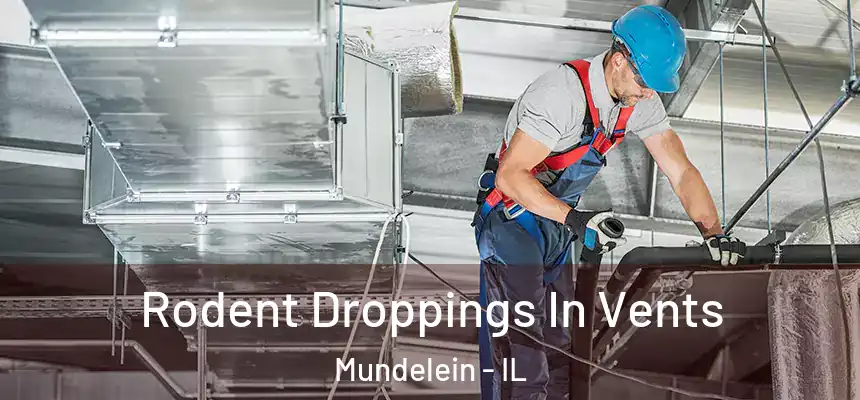  Rodent Droppings In Vents Mundelein - IL
