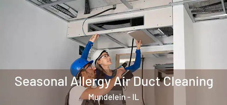Seasonal Allergy Air Duct Cleaning Mundelein - IL