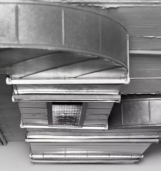 Professional Air Duct Pest Removal in Mundelein, IL