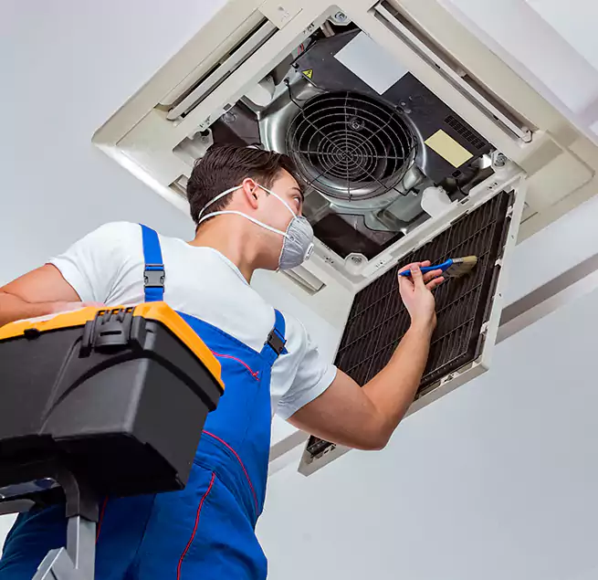 Why Homeowners & Businesses Trust Us in Mundelein, IL