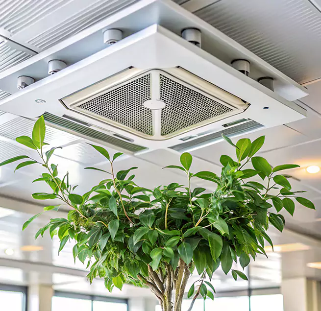 Why Homeowners & Businesses Trust Us in Mundelein, IL?