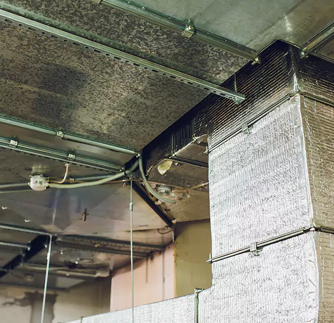 Why Homeowners & Businesses Trust Us in Mundelein, IL?